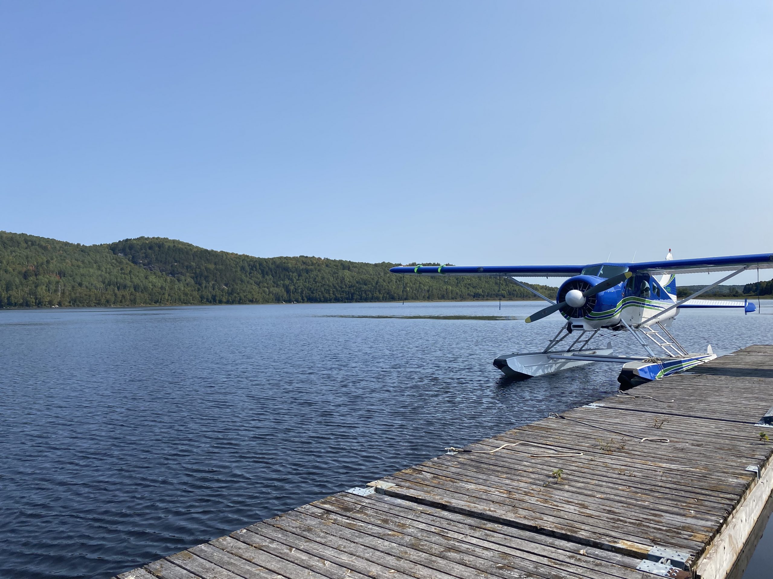 Tango Delta Aviation - Beaver